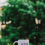 shallow focus photography of white mug and succulent plant on table